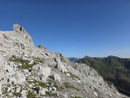 Drüsentürme
