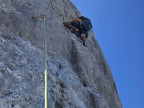 Drüsentürme