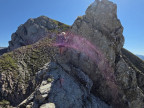 Pöngertlekopf, Pfaffeneck, Gehrengrat