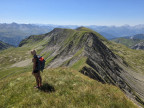 Pöngertlekopf, Pfaffeneck, Gehrengrat