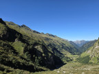 Großer Wilder