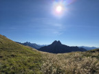 Großer Wilder
