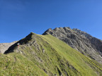 Großer Wilder