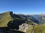 Großer Wilder