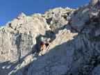 Großer Wilder
