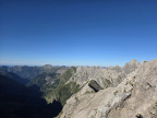 Großer Wilder