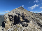 Geierköpfe