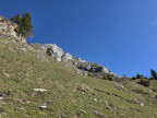20260523_090906.jpg