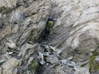 Westlicher Erlispitze, Roggspitze und Östliche Erispitze