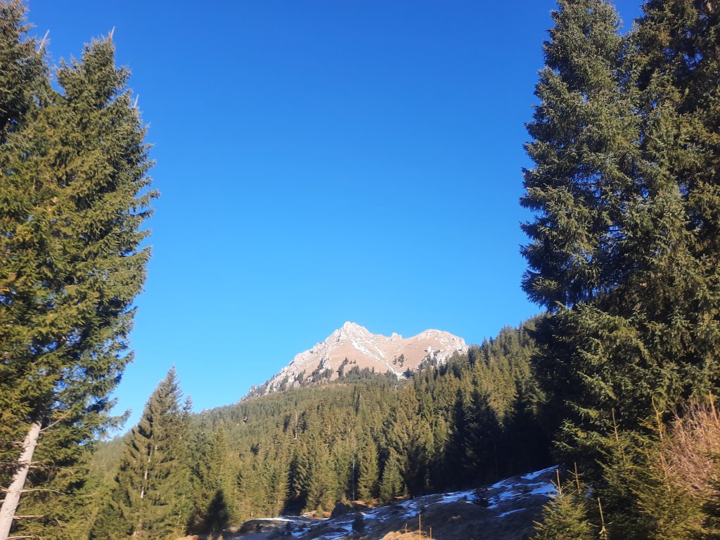 Aggenstein via Hüttengrat