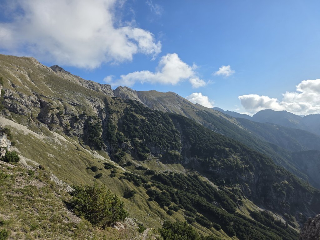 Geierköpfe