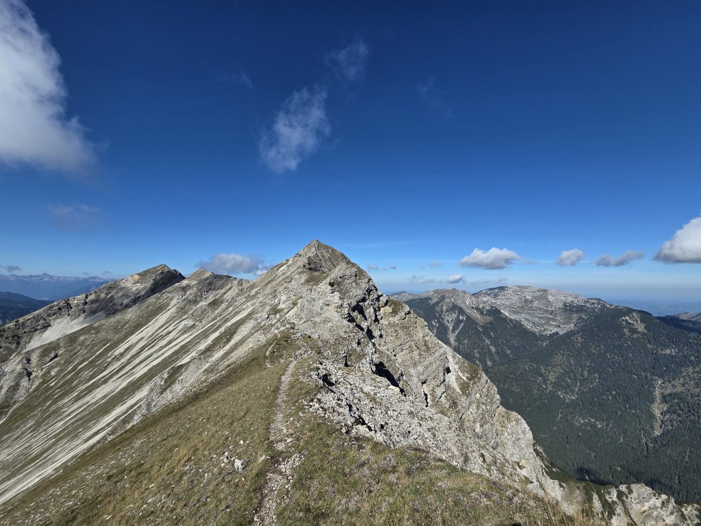 Geierköpfe
