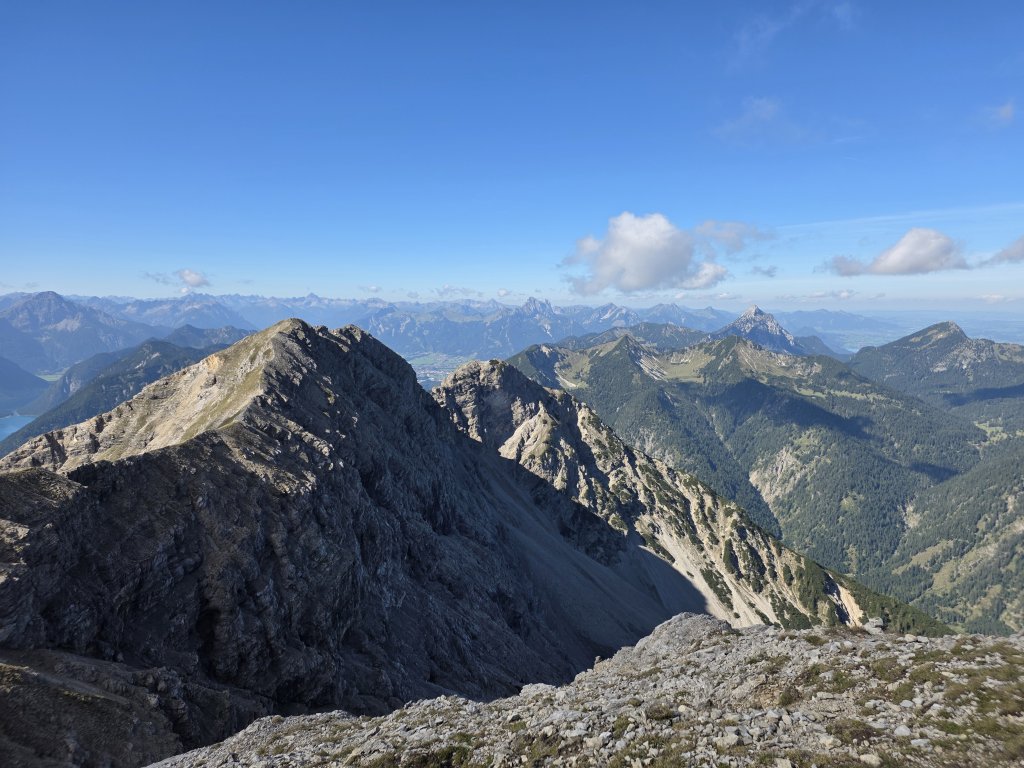 Geierköpfe
