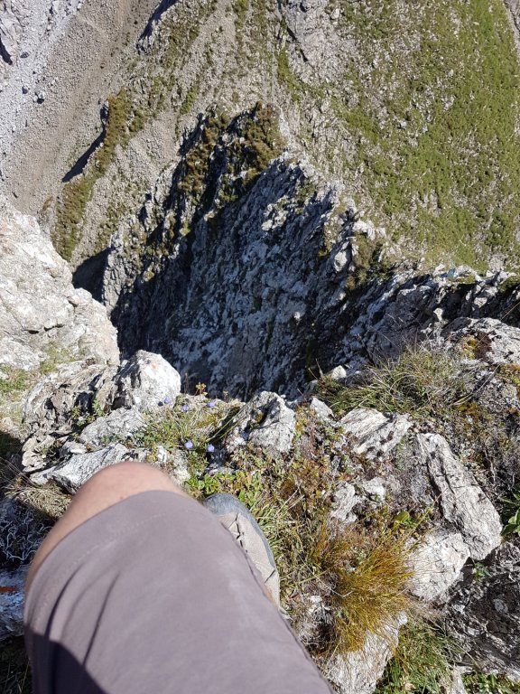 Grießtalerspitze, Westliche Feste, Rotschrofenspitze