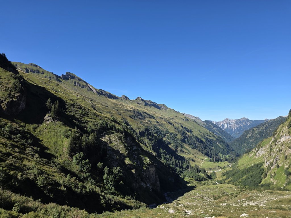 Großer Wilder
