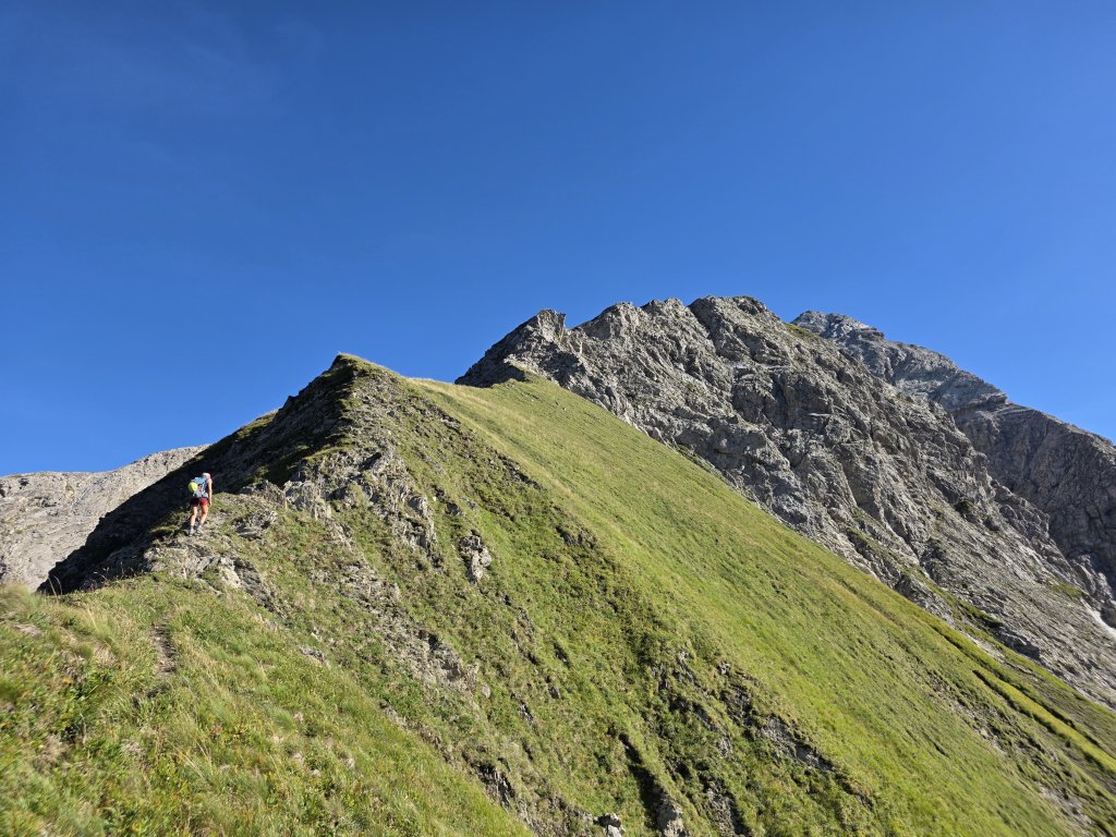 Großer Wilder