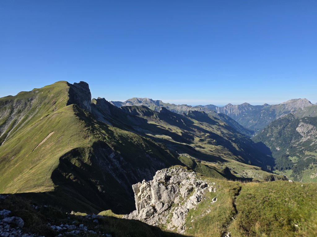 Großer Wilder