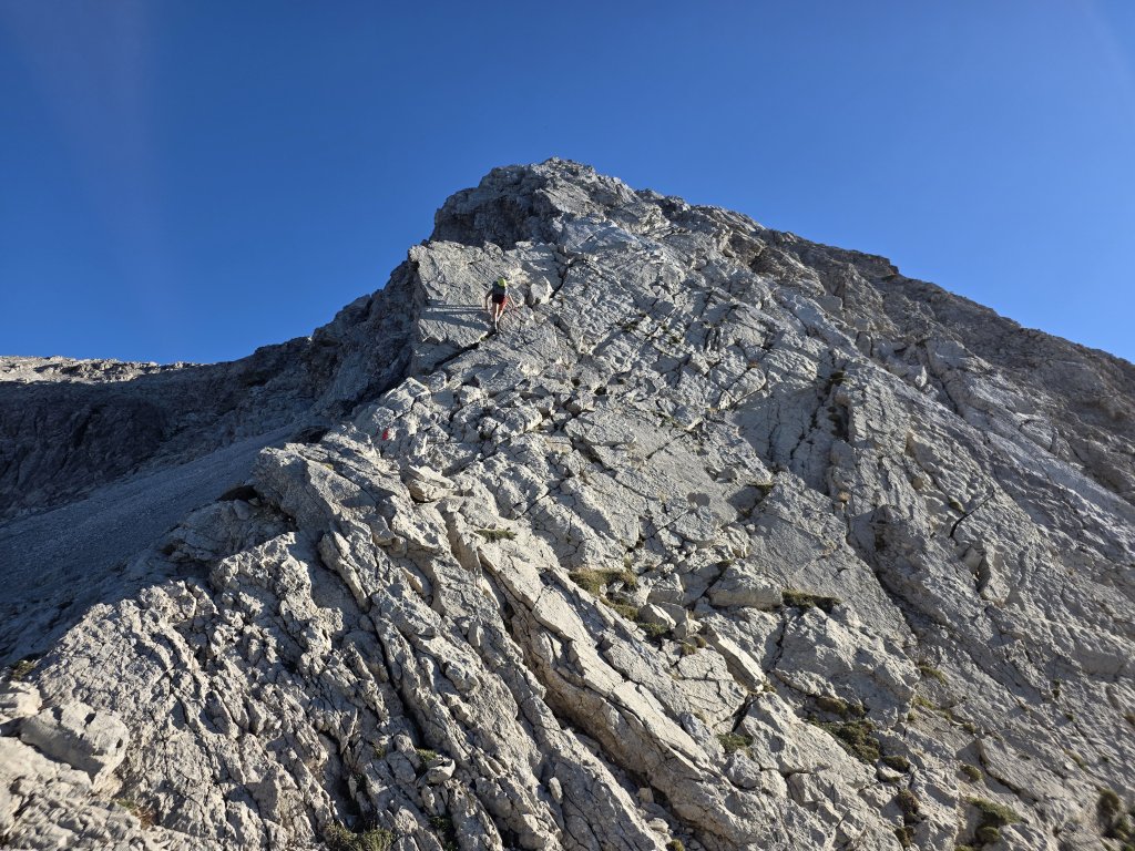 Großer Wilder