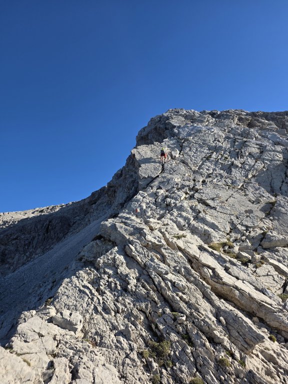 Großer Wilder