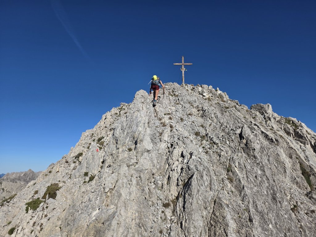 Großer Wilder