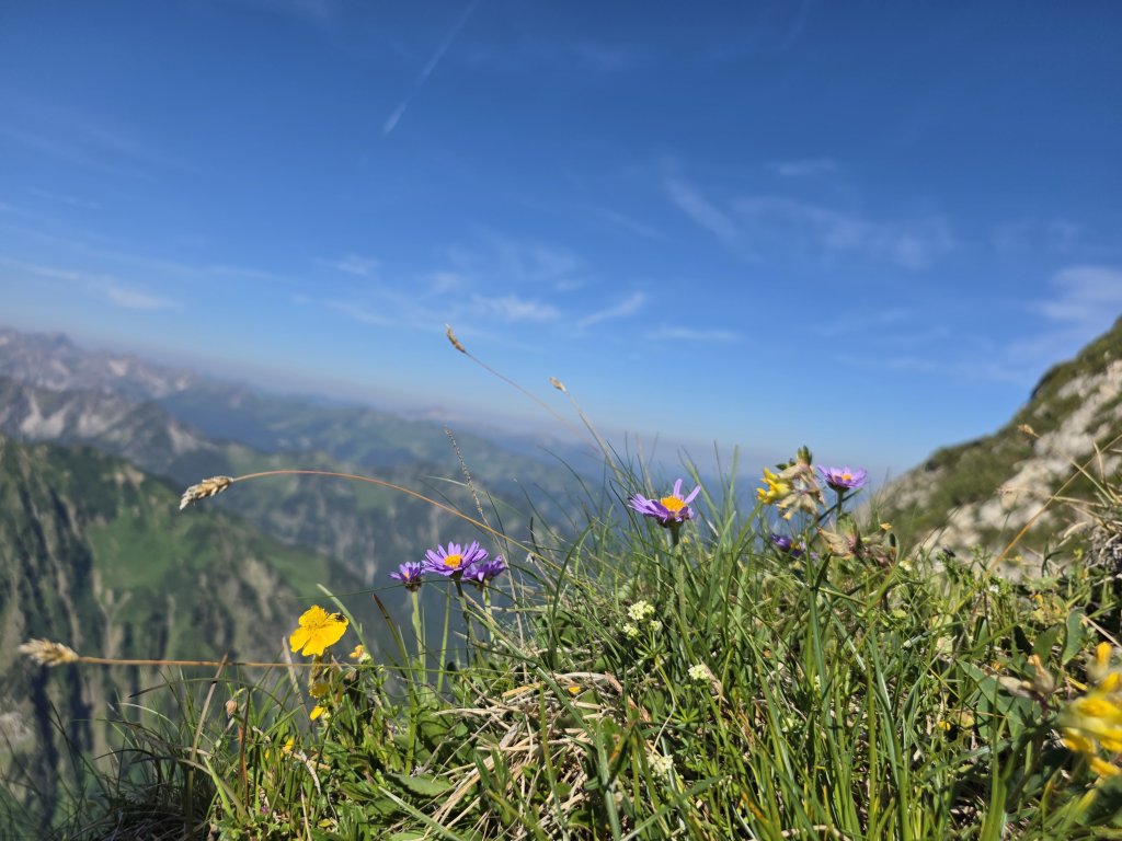 Höfatsüberschreitung