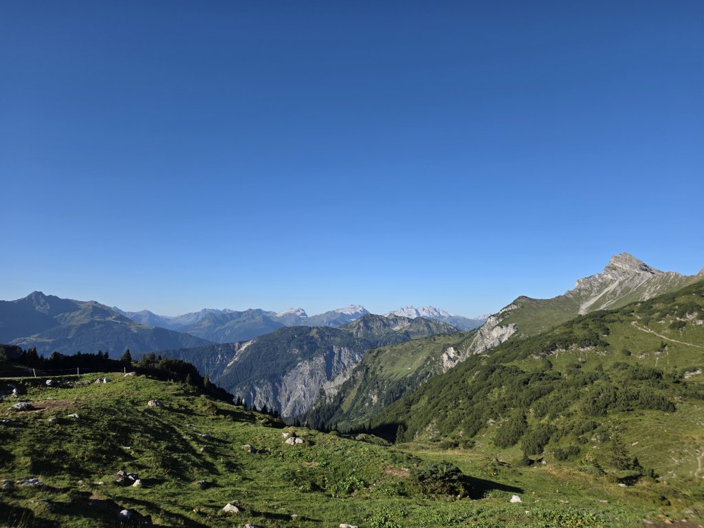 Pöngertlekopf, Pfaffeneck, Gehrengrat