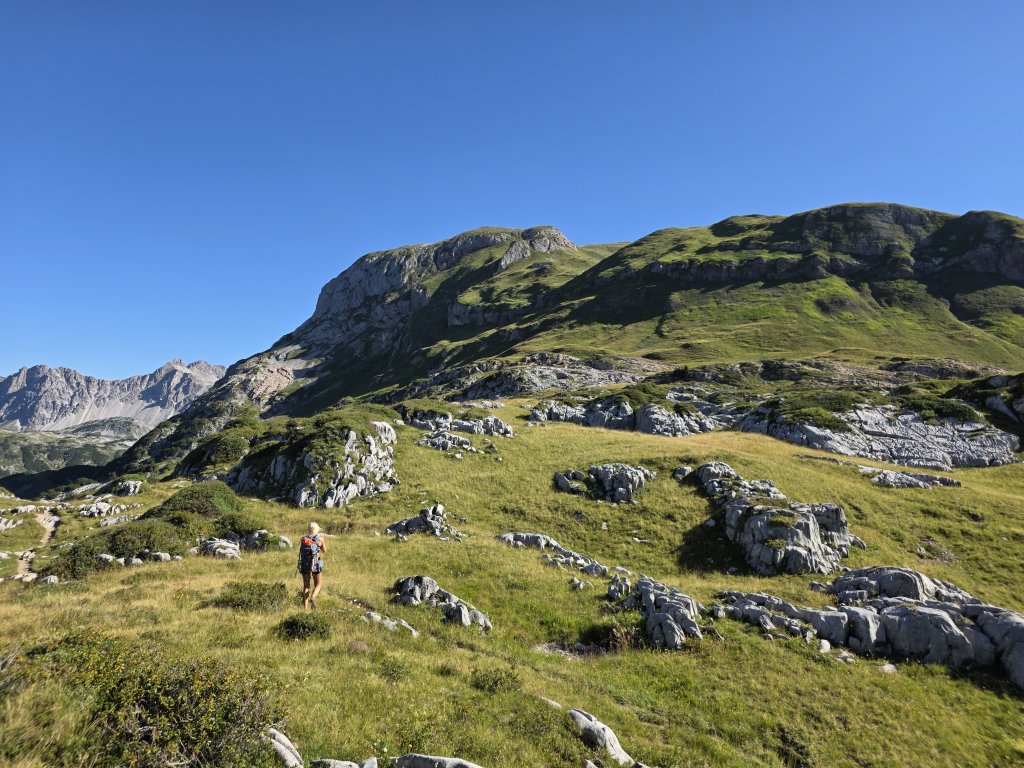 Pöngertlekopf, Pfaffeneck, Gehrengrat