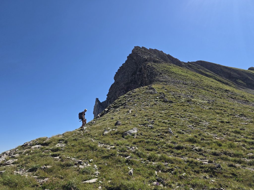 Pöngertlekopf, Pfaffeneck, Gehrengrat