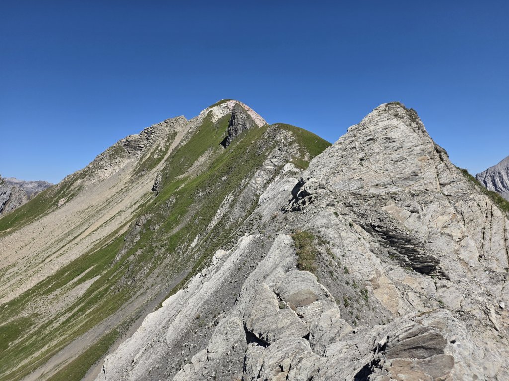 Pöngertlekopf, Pfaffeneck, Gehrengrat