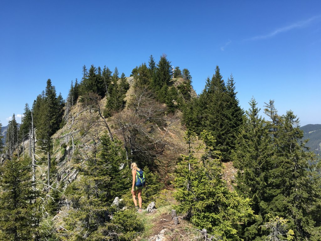 Pfrontner Berg, Schnalskopf und Kienberg