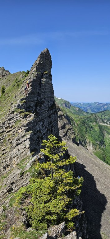 Piramide, Klippern, Gungern, Wannenkopf