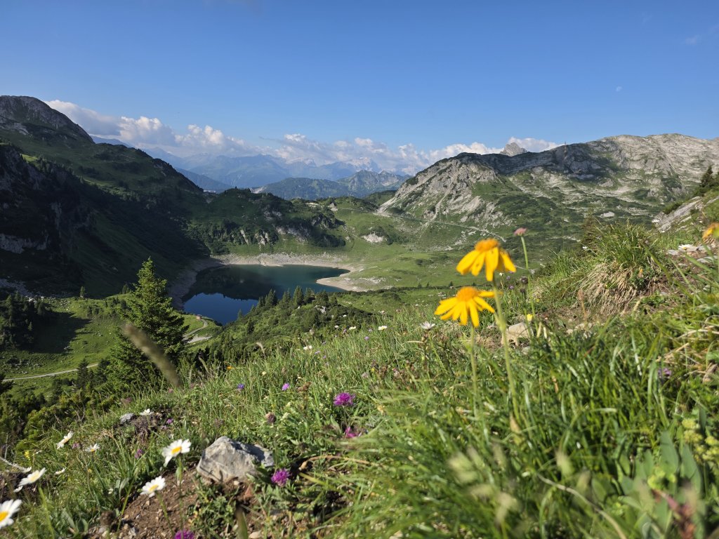 Rote Wand