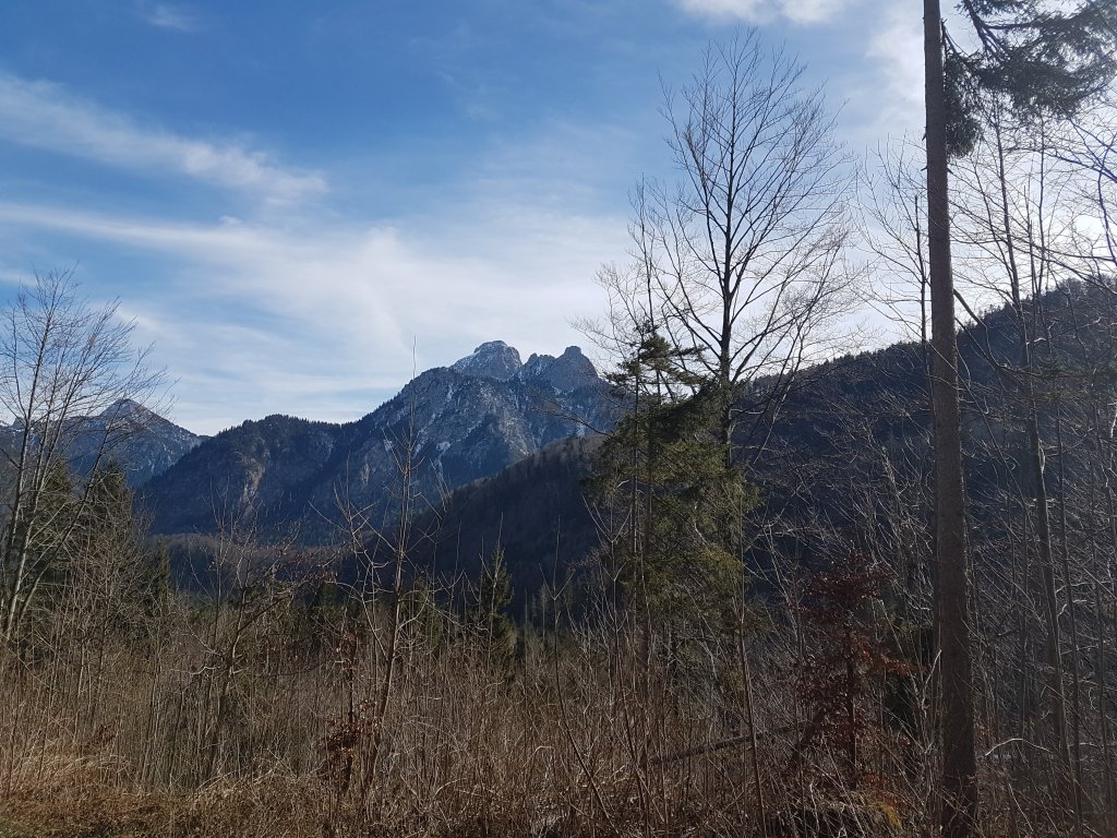 Schwanenplatte