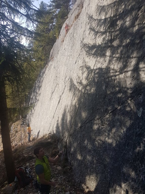 Schwanenplatte